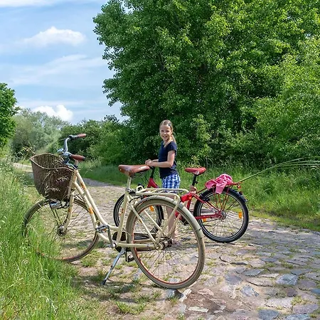 Bungis Ferien Direkt Am Grimnitzsee, Seeseite 13 *