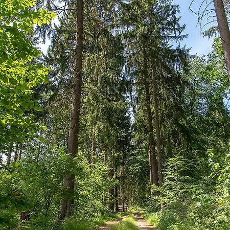 Bungis Ferien Direkt Am Grimnitzsee, Seeseite 13 Joachimsthal